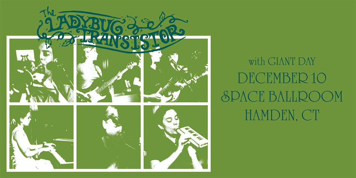 The Ladybug Transistor