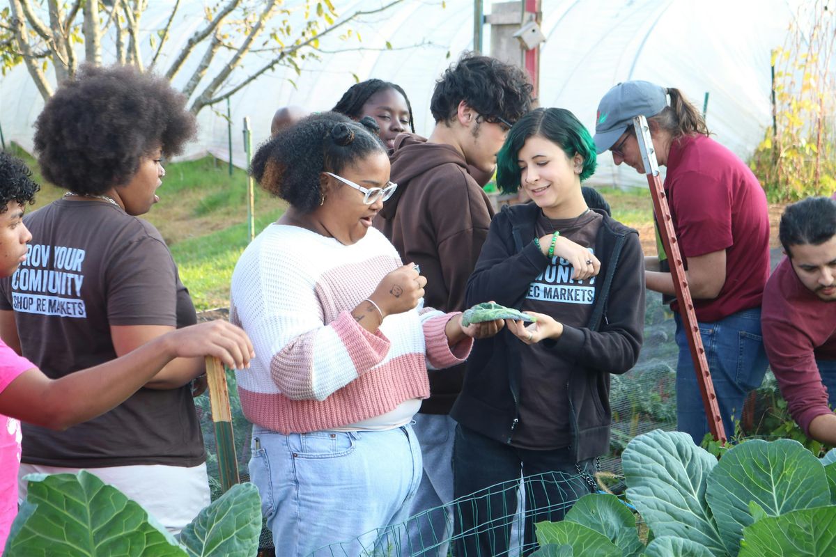 Prepping Your Garden for Winter with Massachusetts Master Gardeners