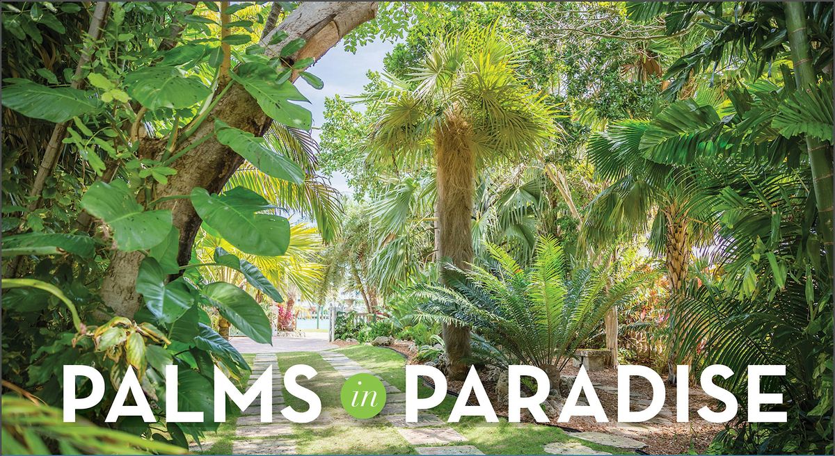 Palms in Paradise 2024