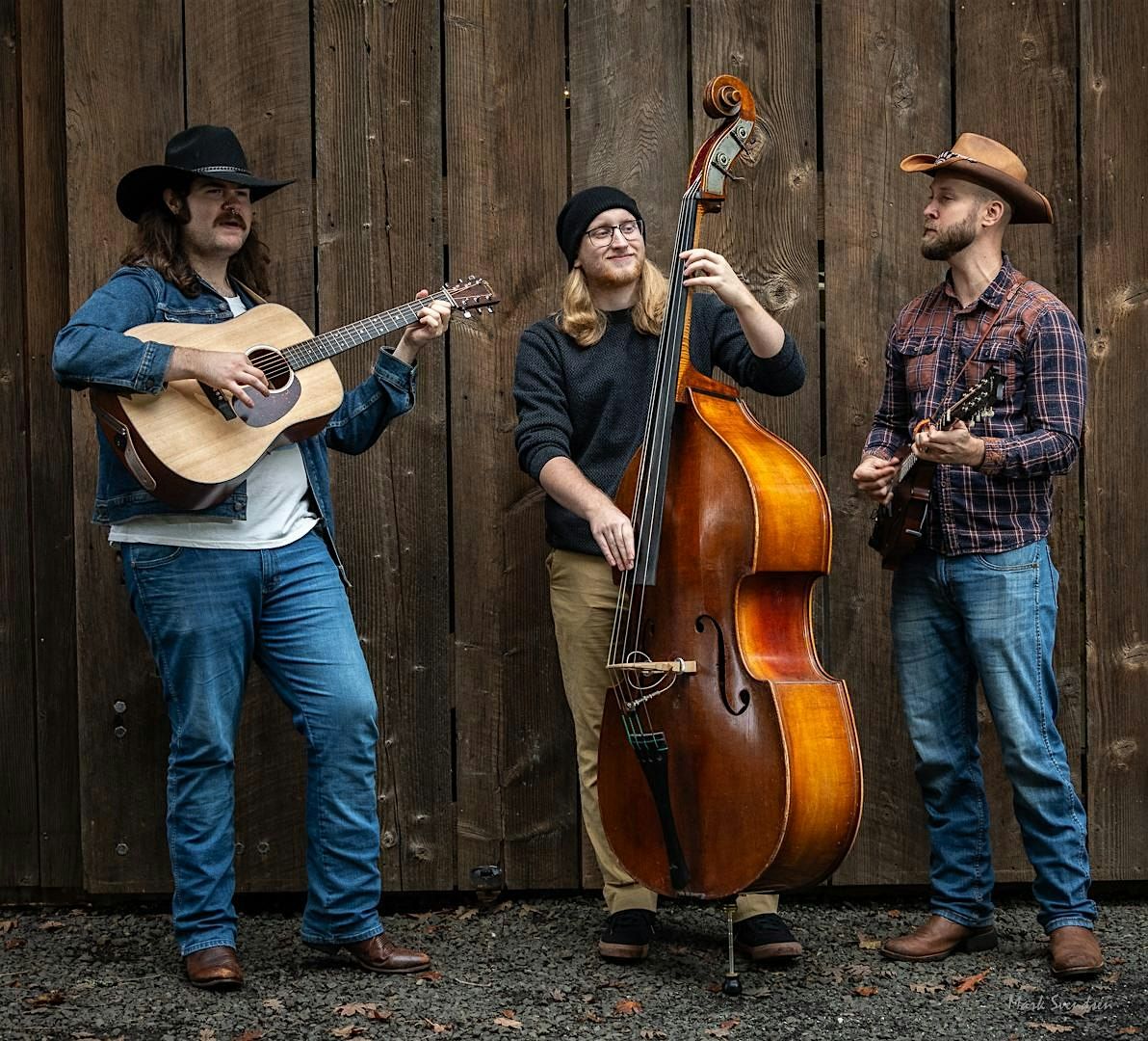 Tuesday String Band LIVE at The Rosebud