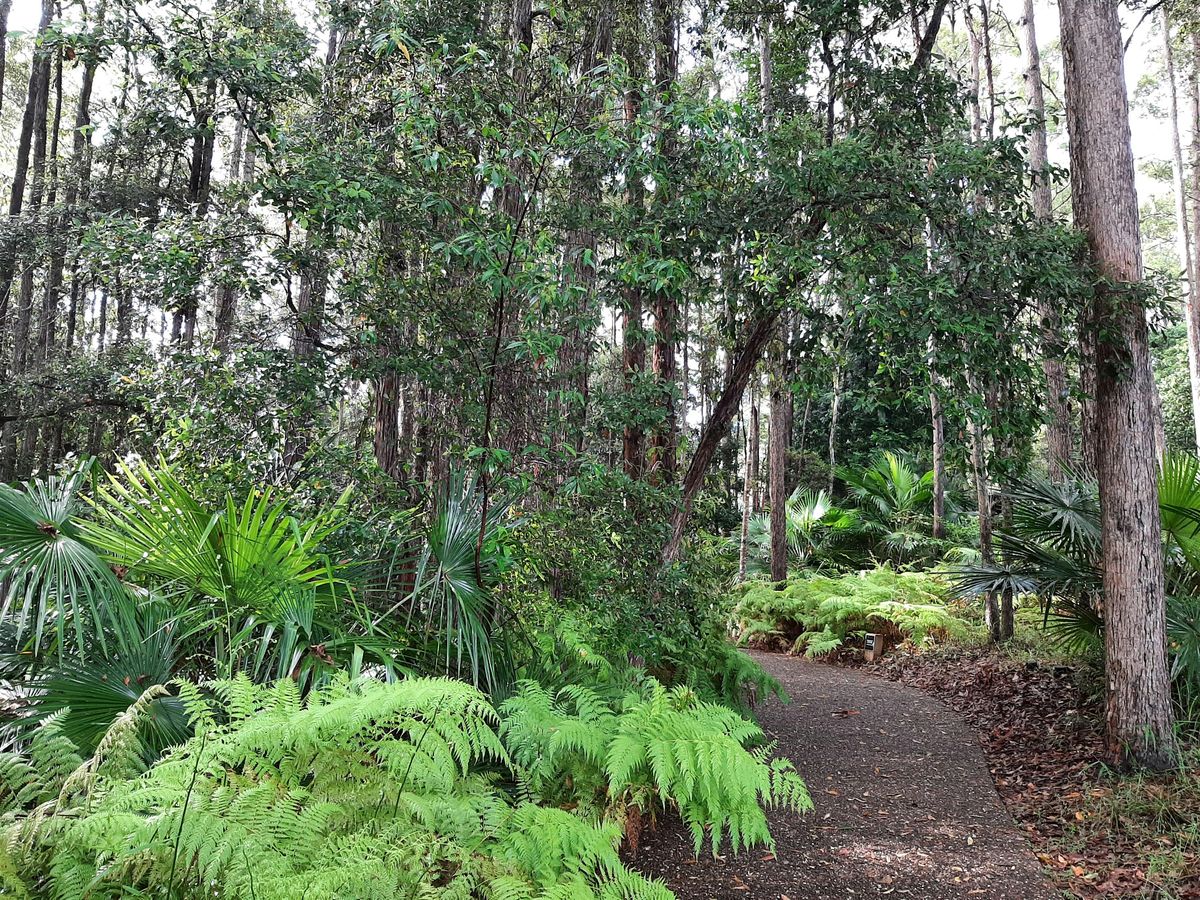 Reconnecting with Nature