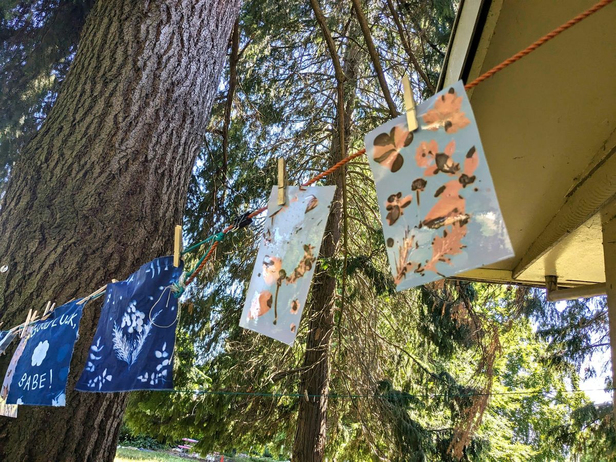 Sun Prints and Natural Chemistry