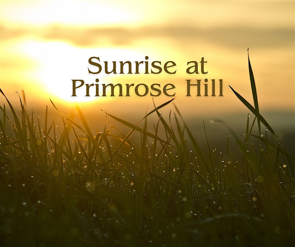 Cosy Morning at Primrose Hill