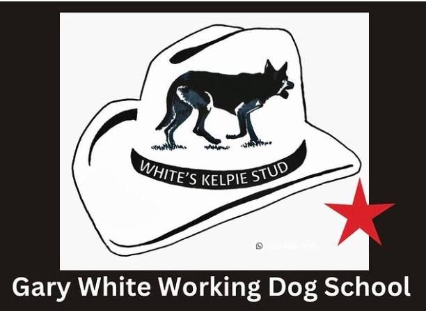 Gary White Sheep Dog Training School