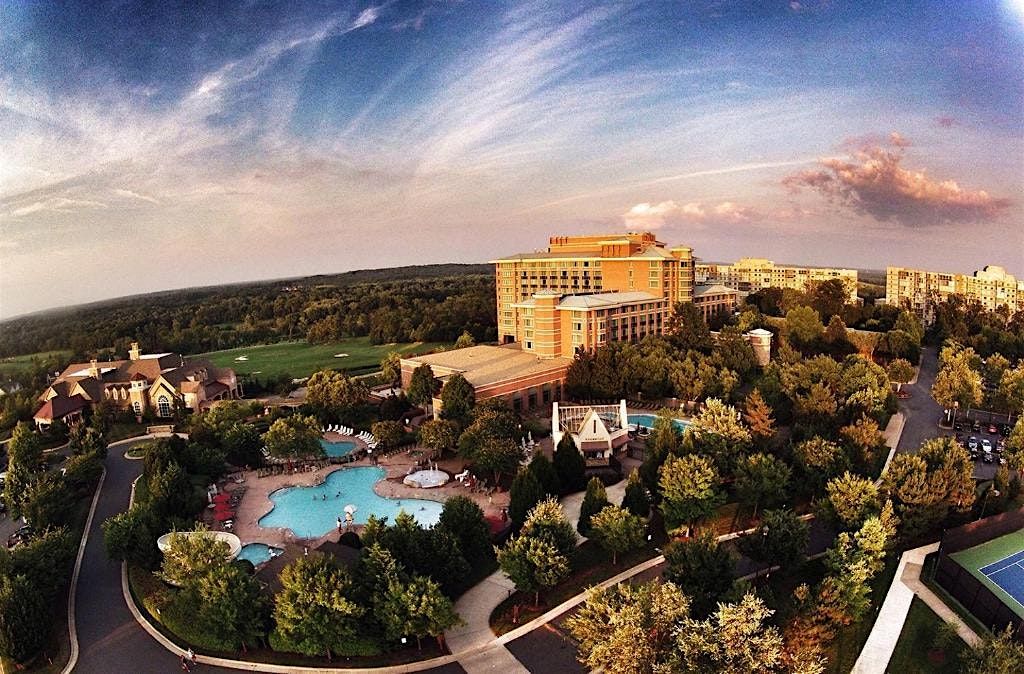 Planet Wildlight - Lansdowne Resort