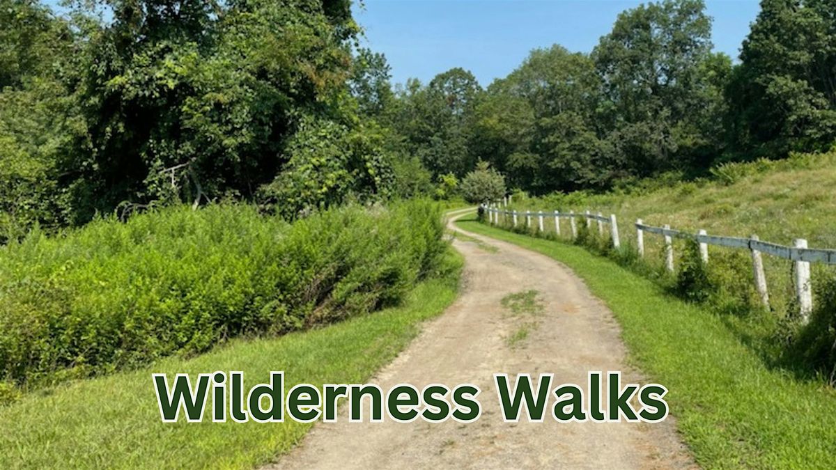 Wilderness Walks