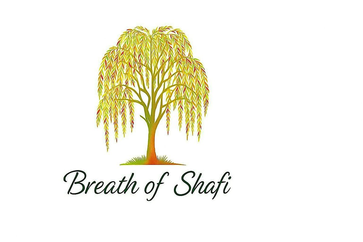 Guided Psychedelic Breath\u00ae Experience with Breath of Shafi