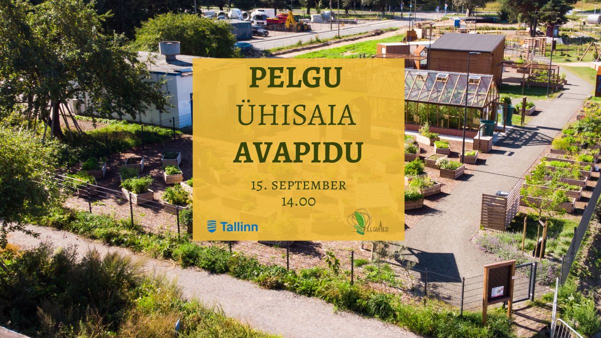 Pelgu \u00fchisaia  avapidu