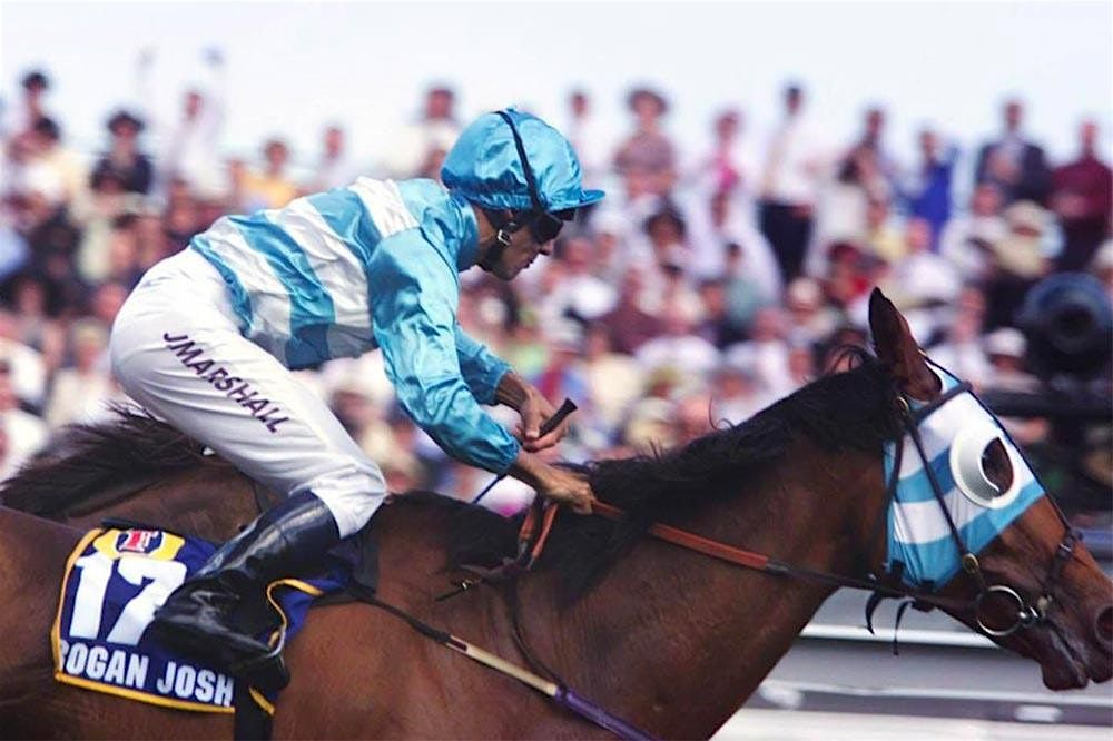 AUSTRALIA DAY HOLIDAY RACEDAY