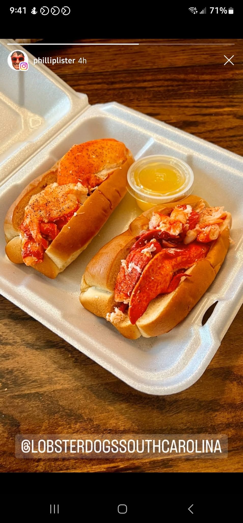 Lobster Dogs at Conway Feed & Garden-CONWAY