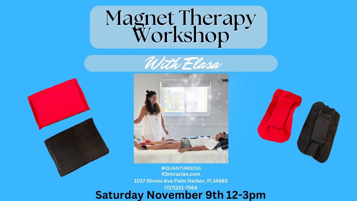 Magnet Therapy Workshop