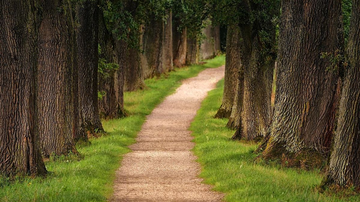 Purposeful Paths: Preventing Burnout with Intentionality