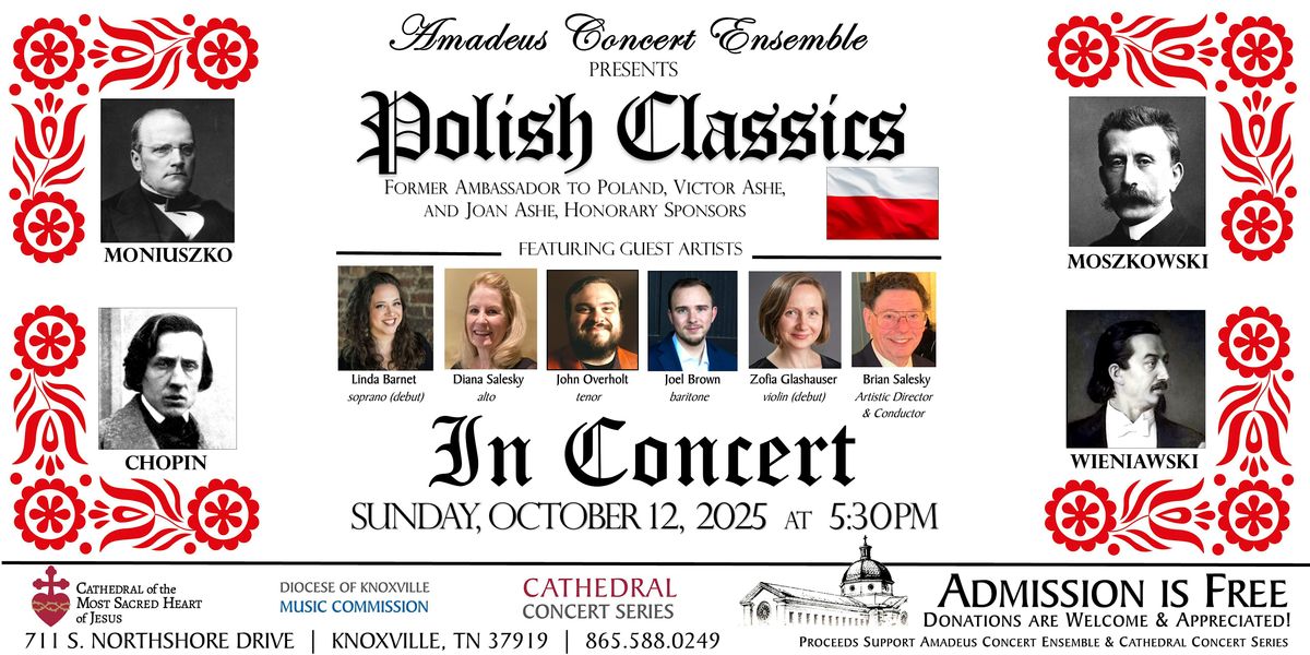 Cathedral Concert: Amadeus Concert Ensemble