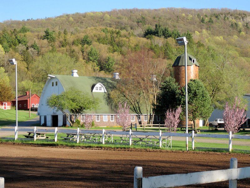 Folly Farm Schooling Show