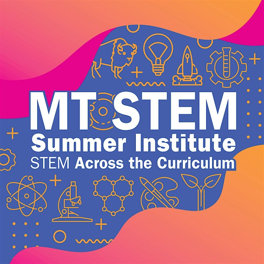 STEM Summer Institute 2025