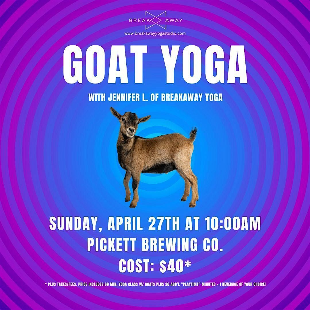 Goat Yoga at Pickett Brewing Co.