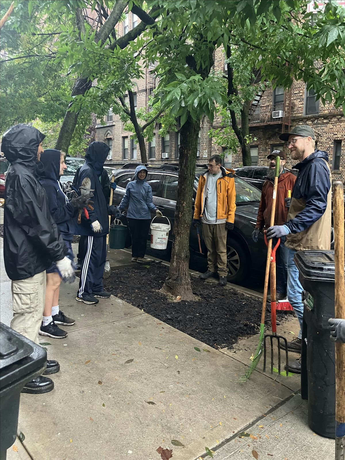 Street Tree Care w\/ Fort Greene Park Conservancy