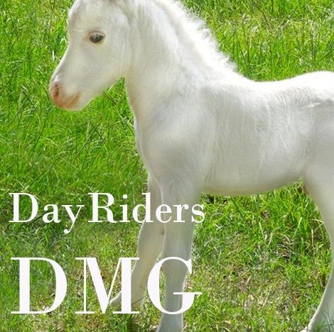 White Horse Knightz - DAYRIDERS & special guests DISCO MACHINE GUN