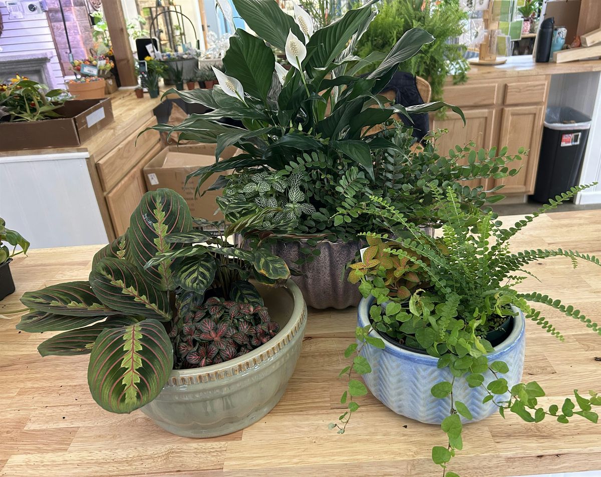 Mixed Houseplant Arrangement Workshop