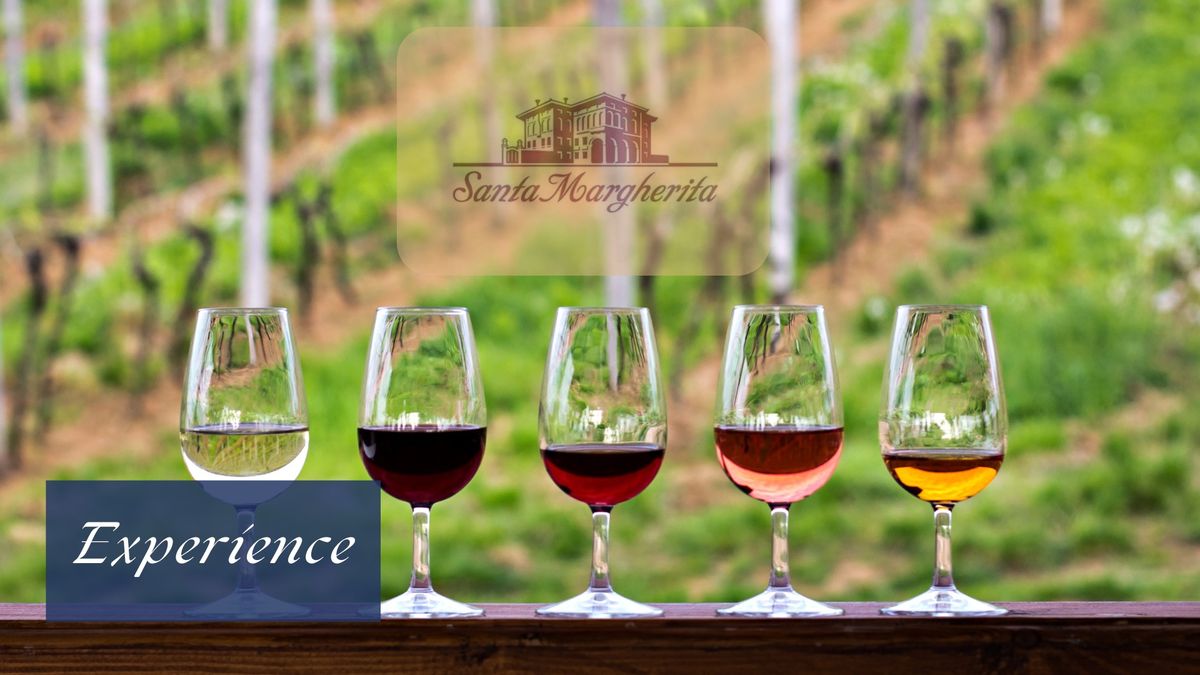 Fine Wine Dinner with Santa Margarita: An Epicurean Evening to Remember