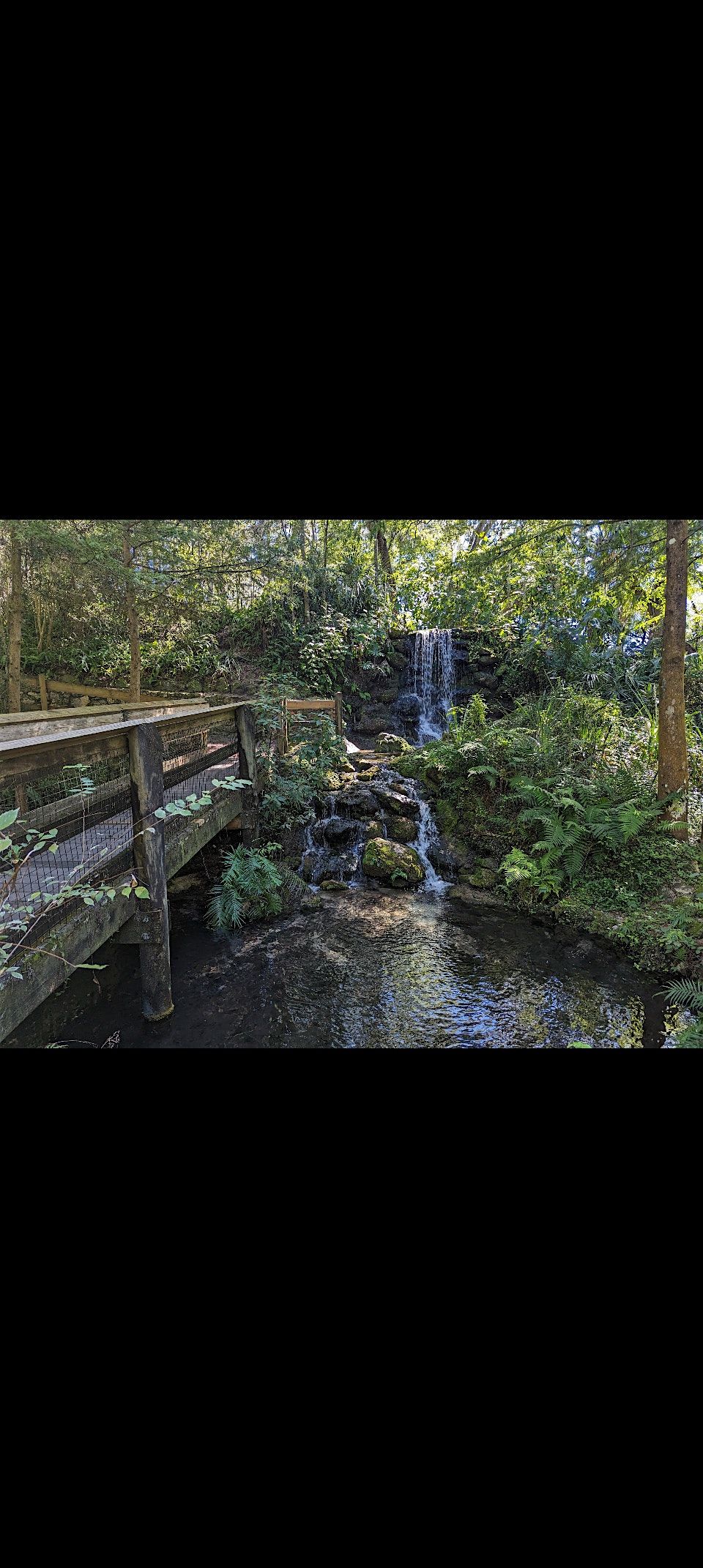 Morning Movement & Meditation