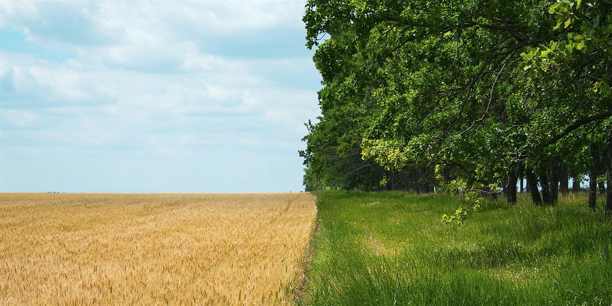 Creating a Resilient Future for Farming in Scotland