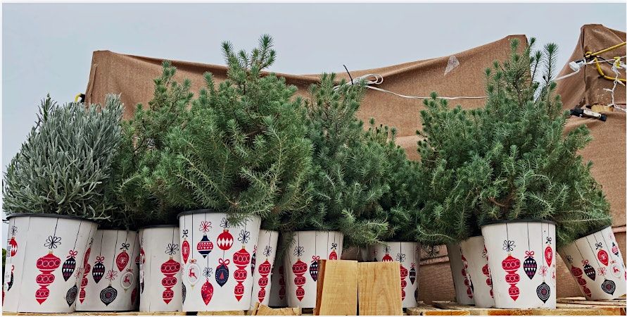 Mini Tree Decorating Party!