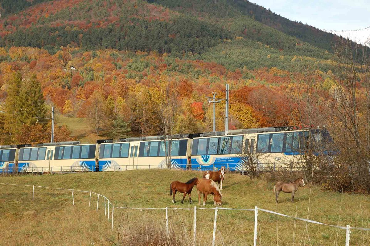 Il trenino del Foliage - gita di 1 giorno