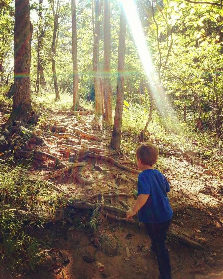 Oakland Nature Preserve