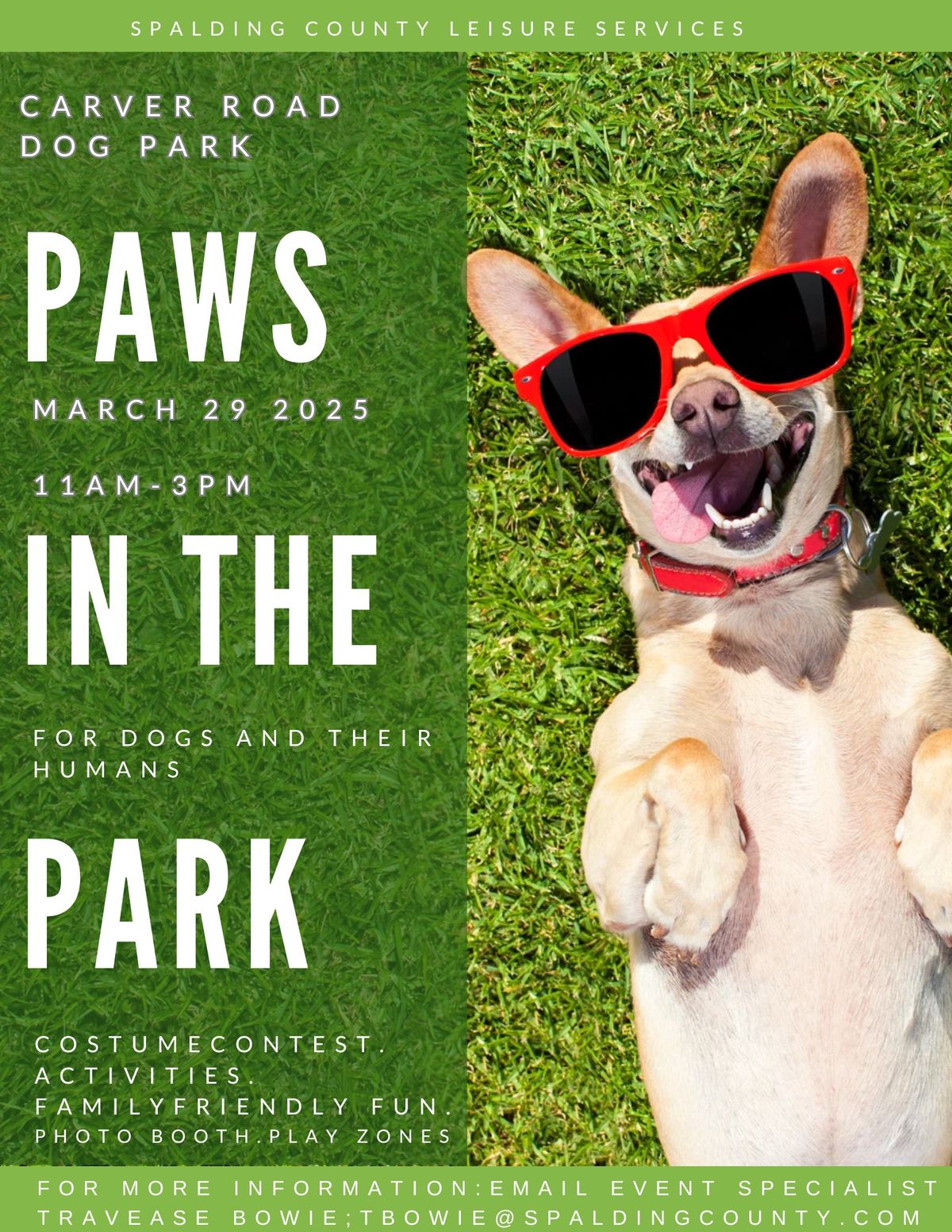 Paws In The Park