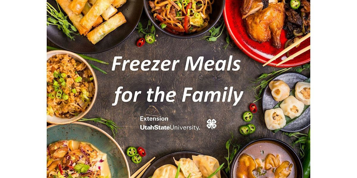 Freezer Meals for the Family