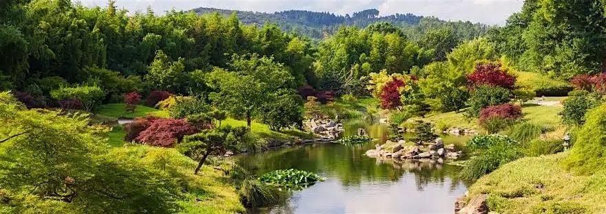 Gardens of the Bible