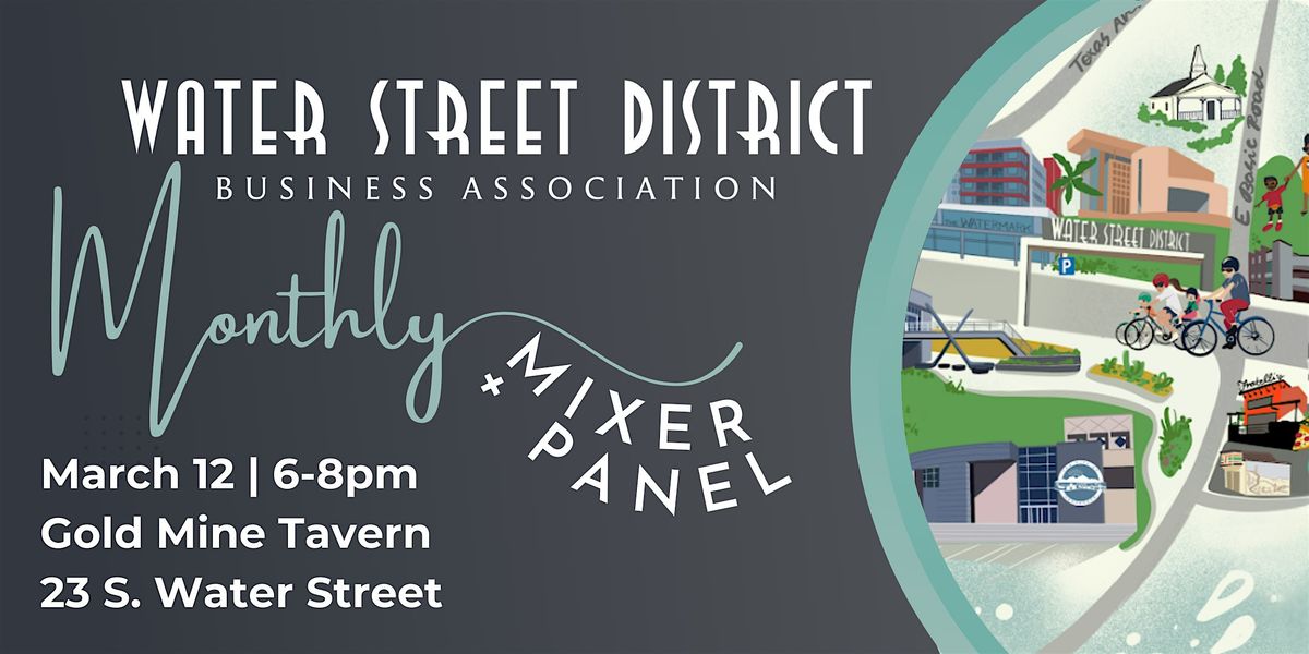 WSDBA March Networking Mixer + Moderated Panel