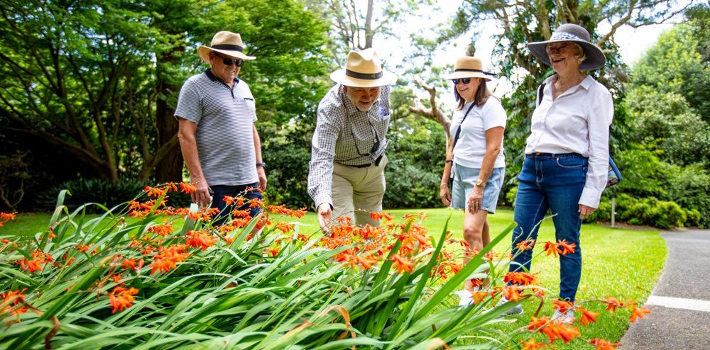 Garden Discovery Walking Tours