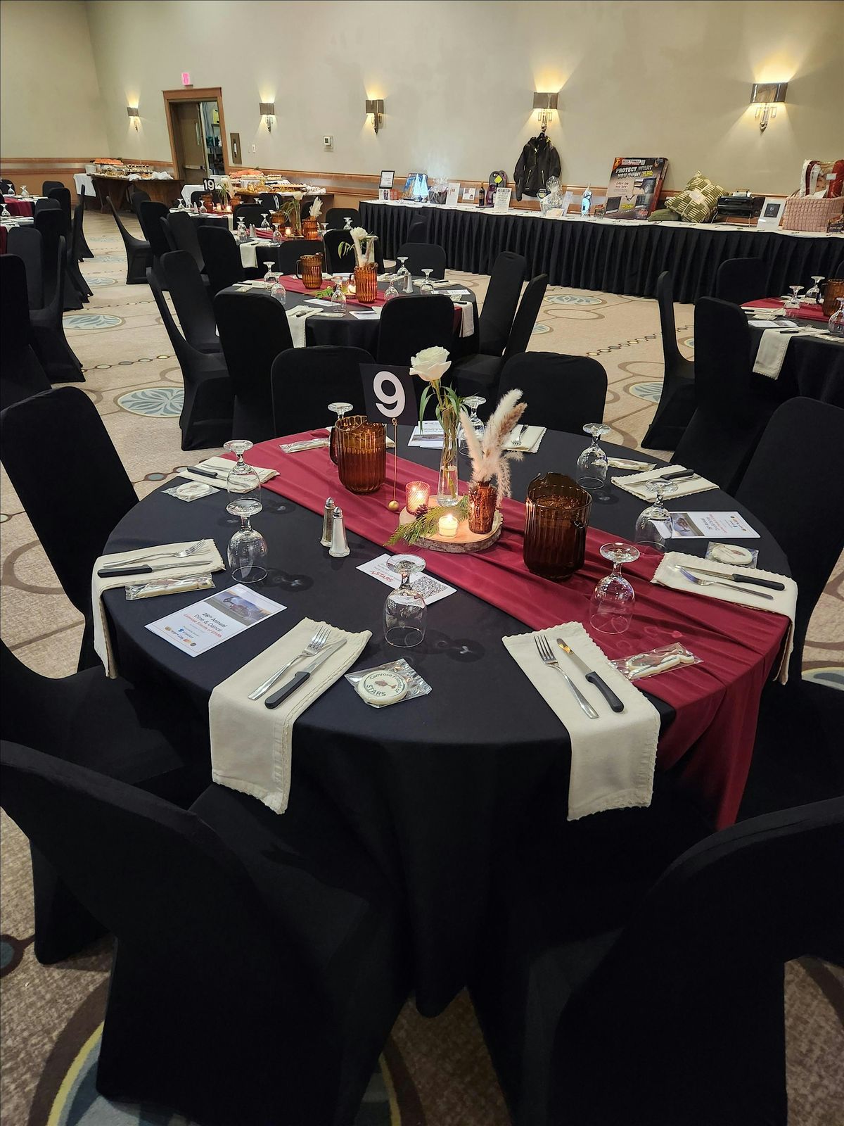 Camrose Friends of STARS Annual Dine & Dance Supporting STARS
