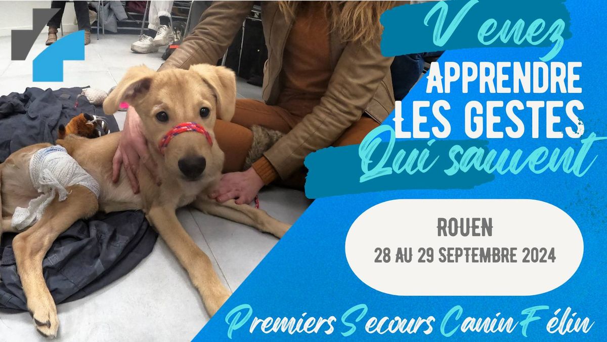 Formation aux Premiers Secours pour Chien et Chat \u00e0 ROUEN