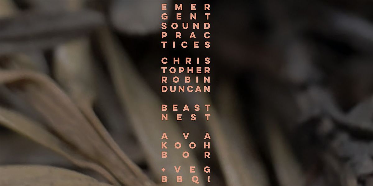 Emergent Sound Practices - Season Finale and Community Picnic