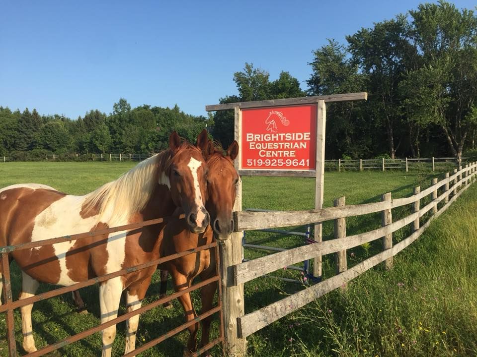 Working Trail Schooling Series #1