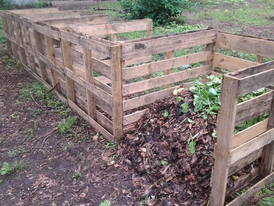 Soil Building and Compost 