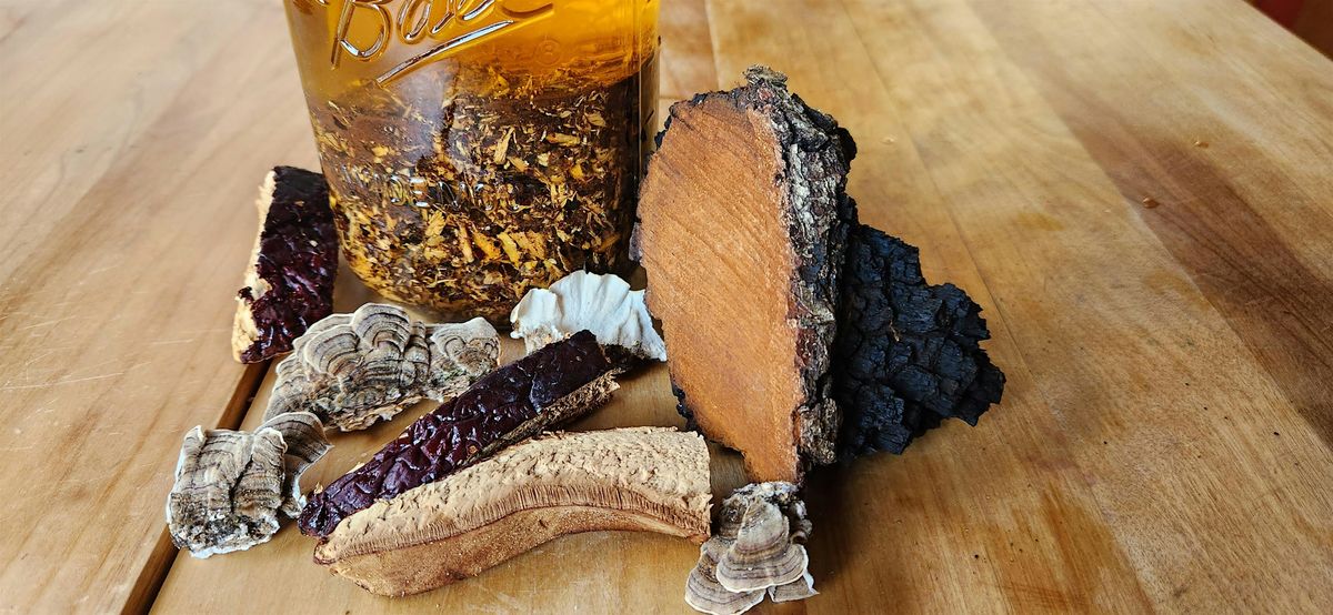 Mushroom Medicine Workshop