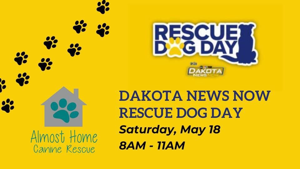 Rescue Dog Day