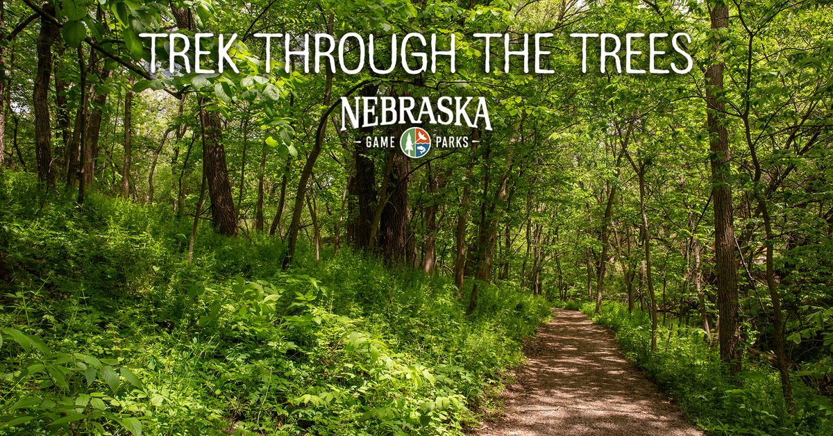 Trek through the Trees at E.T. Mahoney State Park