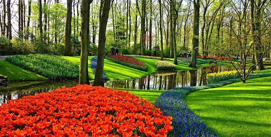 Amsterdam & Festival Tulipes 2025 - DAY TRIP - 29 mars