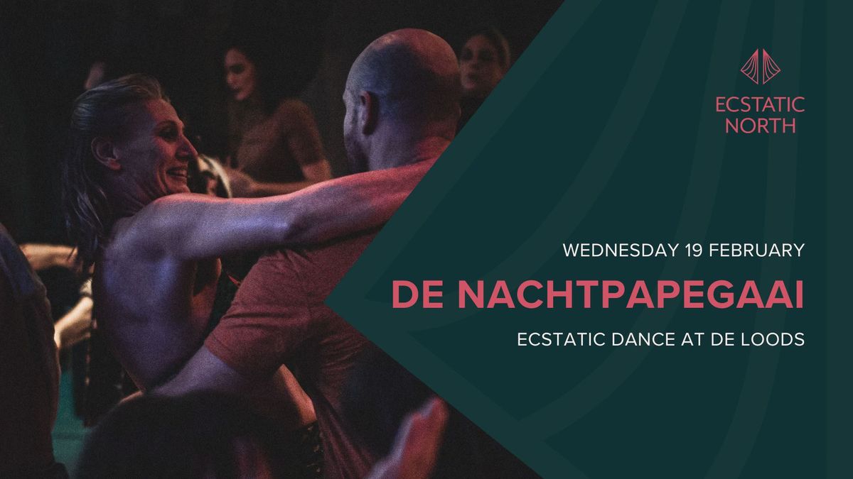 Ecstatic Dance Groningen | DJ De Nachtpapgegaai