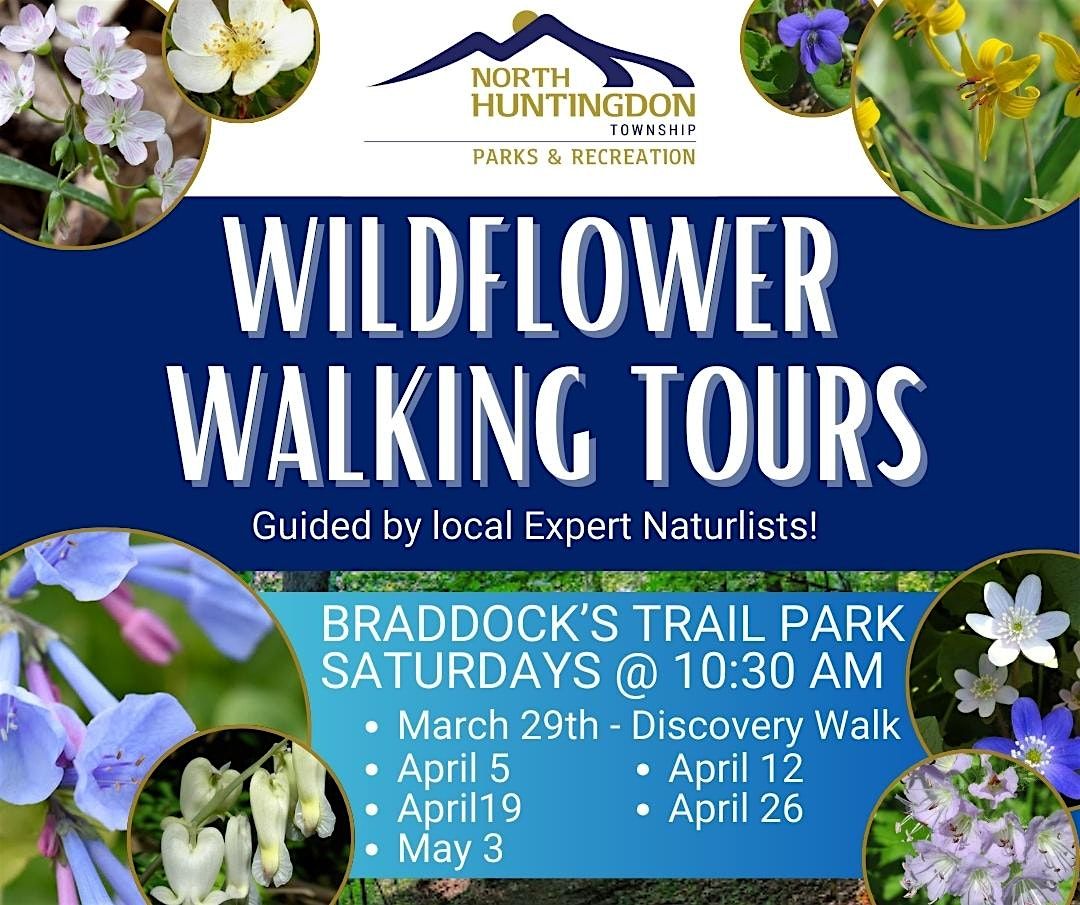 Wildflower Walking Tours