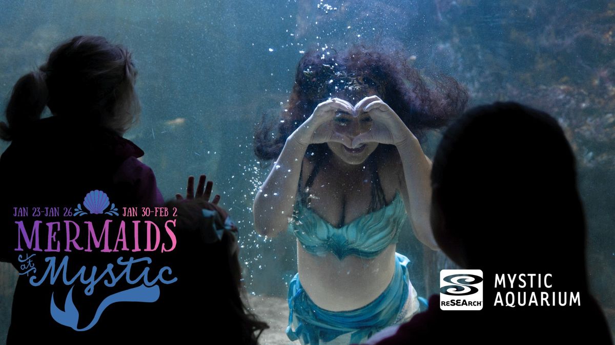 Mermaids at Mystic Aquarium