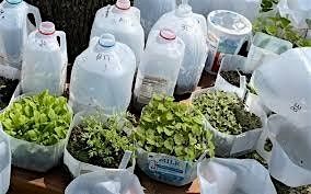 Seeds to Community - Winter Sowing Workshop - January 24th & 25th, 2026