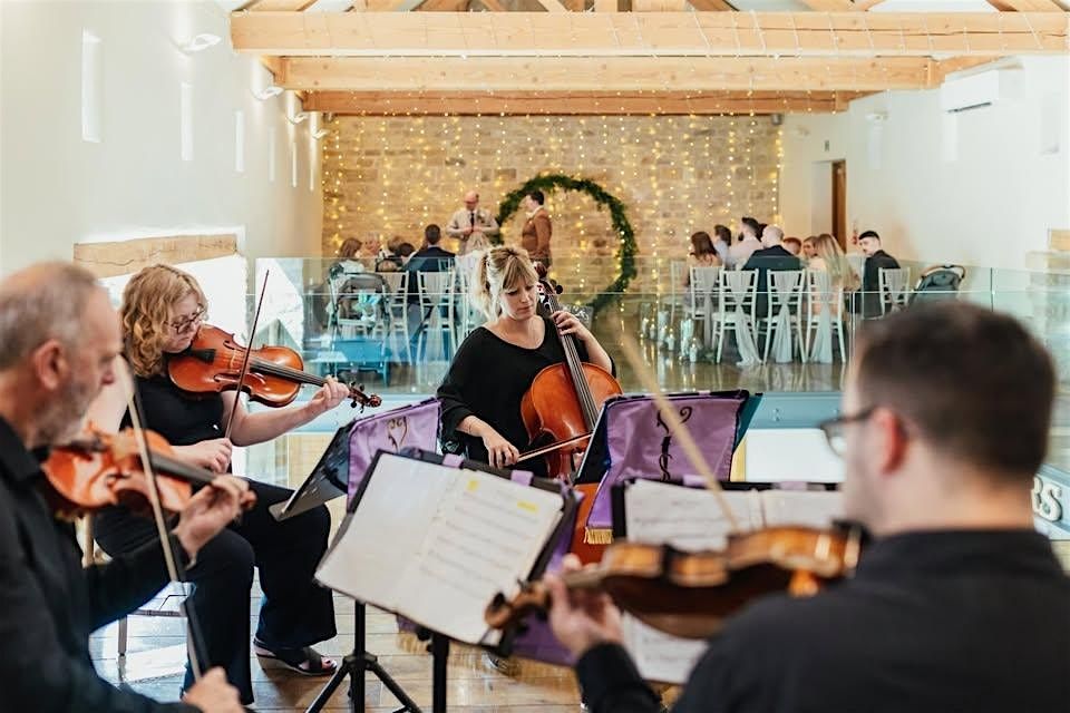 Timeless Pop Hits On Strings