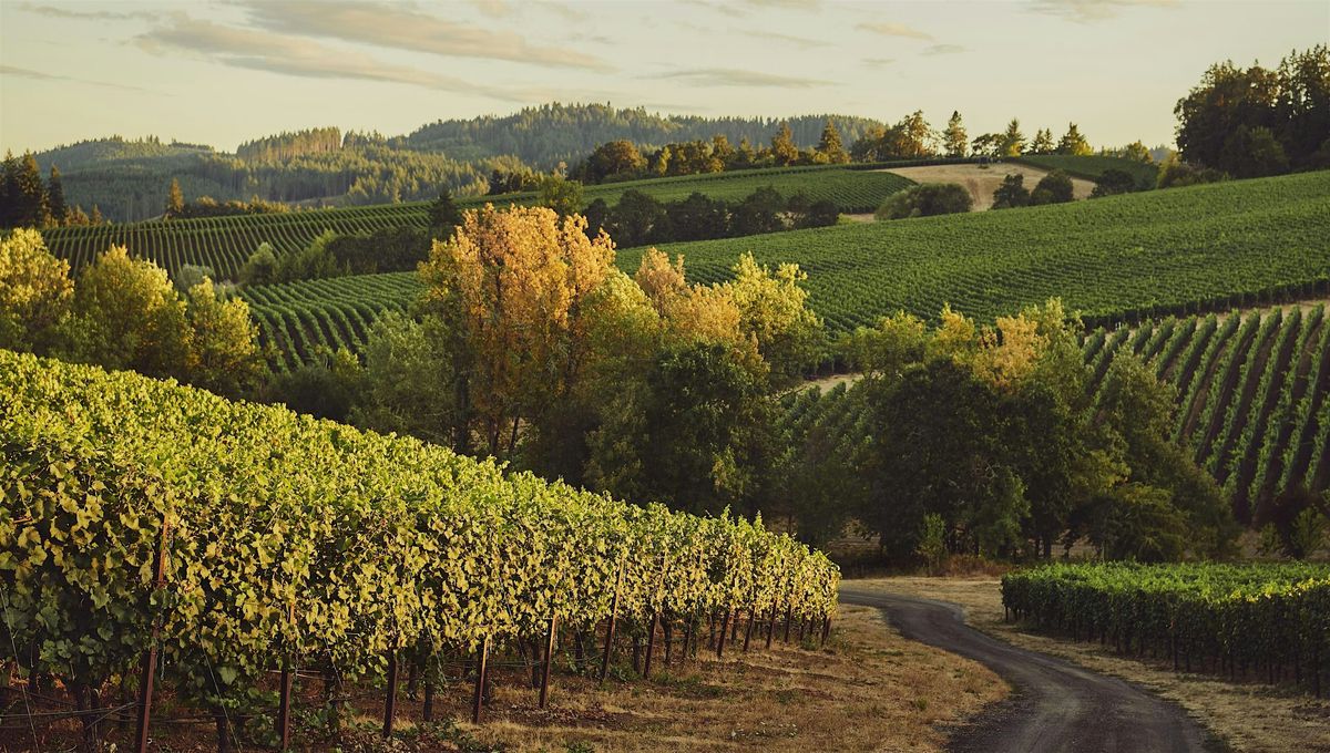 Luxury Oregon Wines at Yardbird
