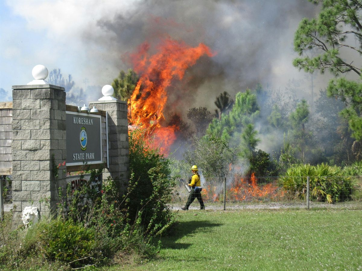 Wildland Fire - Shaping Florida's Landscape